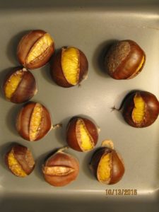 chestnuts_12